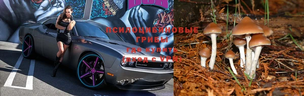 дурь Всеволожск