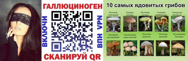 mega ССЫЛКА  Краснозаводск  Галлюциногенные грибы GOLDEN TEACHER 
